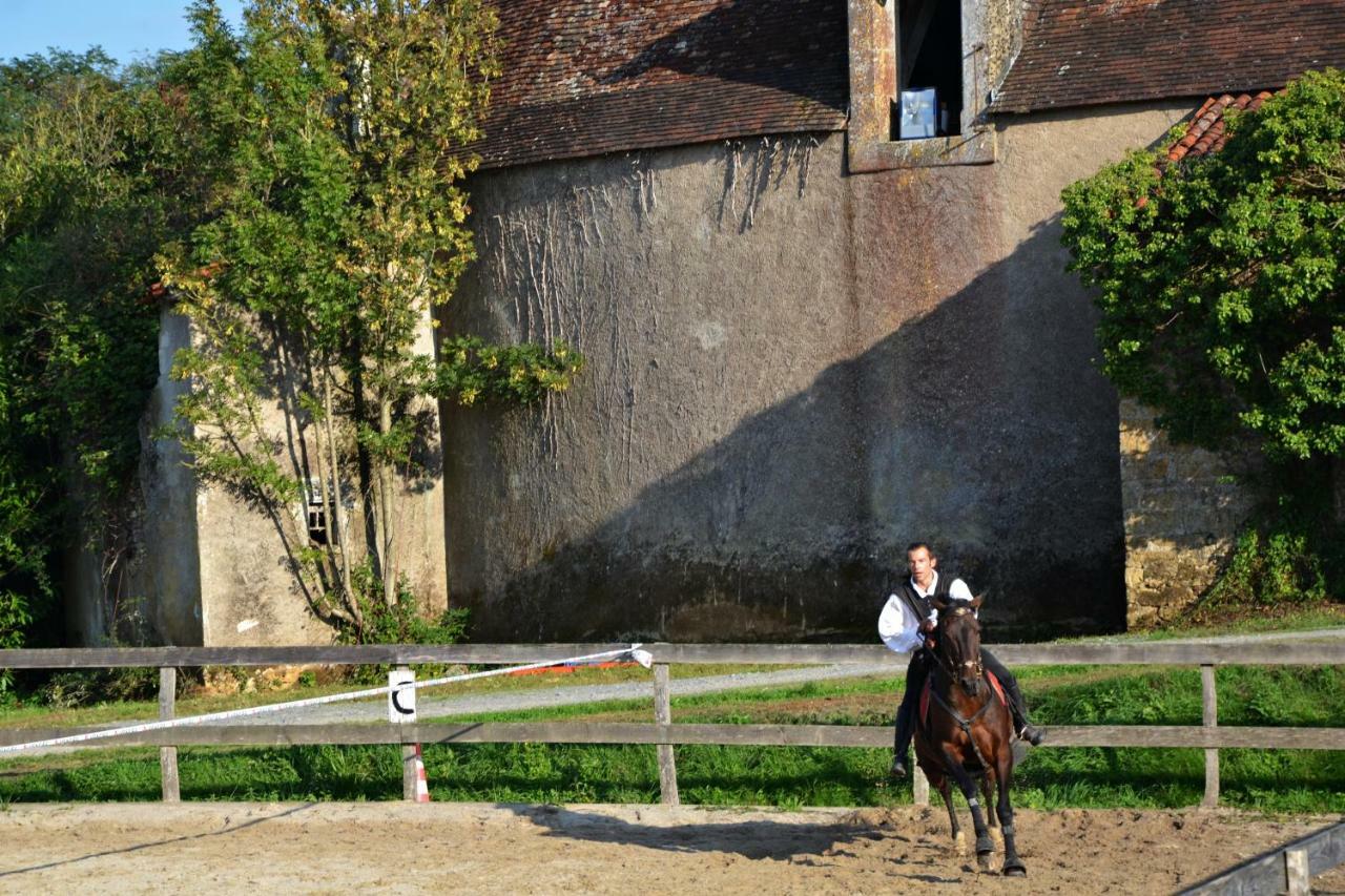 Chateau Des Noces Bazoges-en-Pareds Exterior foto